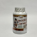 LEVADURA DE CERVEZA MEDICINA NATURAL